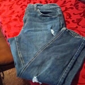 Woman's plus size jeans